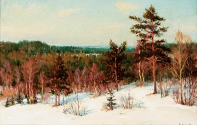 Zima - Widok na las