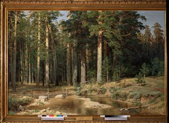 Gaj mastowców (lub fałszywa aszoka, Polyalthia longifolia) - Obraz Ivana Ivanowicza Szyszkina (Chichkine) (1832-1898)