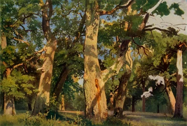 Dęby w Eventide, 1887, 1965.