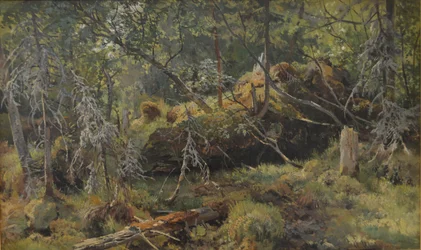 Gałęzie. A Study
