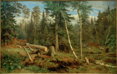 I.I.Schischkin, Holzschlag
