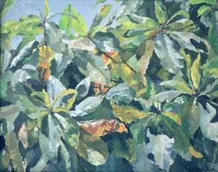 Rośliny, 1961