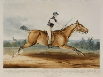 Portret pana Williama Hutchinsona na „Stareing Tom”, grawerowany przez H. Meyera