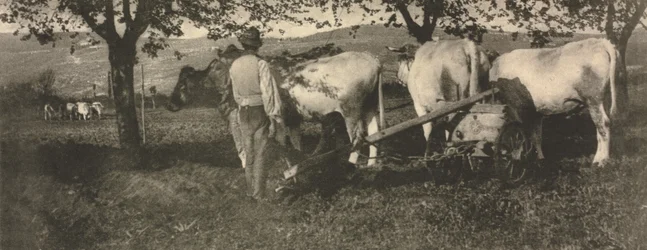 Praca kamery: zespół orki
