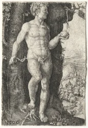 Adam, 1526.