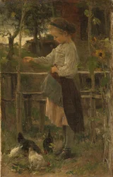 Karmienie kurczaków