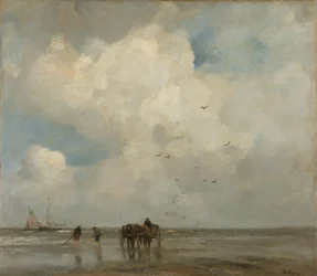 Połów muszli
