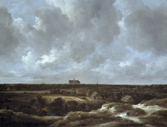 Widok Haarlem i Bleaching Fields, ok. 1665-70 (olej na płótnie)