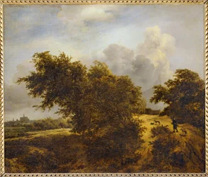 Ścieżka na wydmach Haarlem lub Le Buisson ...