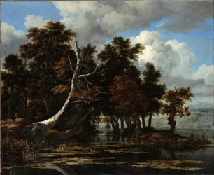 „Dęby nad jeziorem z liliami wodnymi” Obraz Jacob Isaacksz van Ruisdael (1628/29-1682) Olej na płótnie Wymiary 116,6x142 cm Staatliche Museen, Berlin