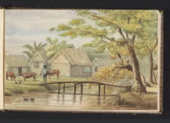 Domy niewolników na plantacji kawy Sorgvliet. Dom niewolnika (tytuł na obiekcie). Widok Blackhuizen na plantacji Sorgvliet (tytuł na obiekcie). Album z rysunkami Surinamu, s. 5 (50) (tytuł serii)