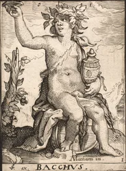 Bachus