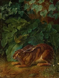 Niemiecki: Zając w krzakach