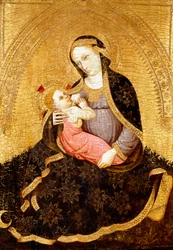 Madonno Pokory,