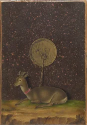Portret Alvise Contariniego(); (verso) Roebuck na uwięzi
