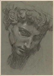 Portret Giuliana de’ Medici, według Michała Anioła (recto)