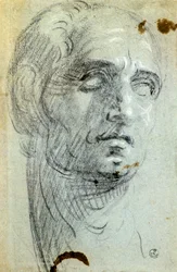 Męska głowa autorstwa Jacopo Robustiego znanego jako Tintoretto (1518-1594), rysunek