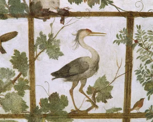 Ibis, z fresku woliery w Willi Medici, ok. 1576-77
