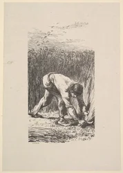 Żniwiarz, 1853.