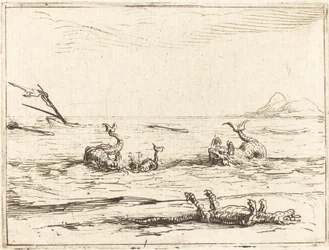 Delfiny i Krokodyl
