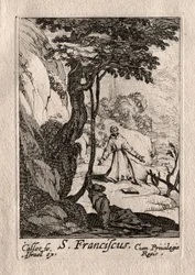 Pokutnicy: św. Franciszek.