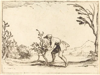 Mężczyzna ścina balsam