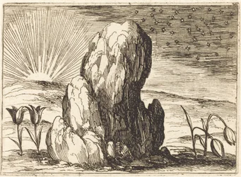 Tulipany i słońce, 1628.