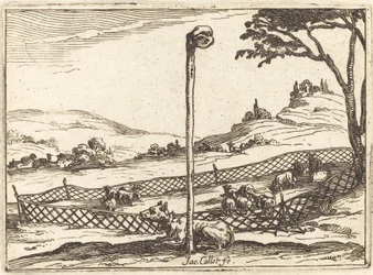 Czujne oko