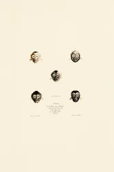 Porównanie twarzy różnych gatunków małp