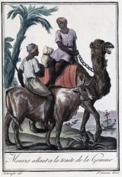 Maurowie udający się na handel gumą - w „Encyklopedii podróży” Grasset St Sauveura, wyd. 1796