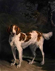 Dash, ryt. Charles Turner (1773-1857), wyd. przez R. Ackermanna Jnr. (grawerunek mezzotinta)