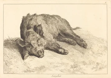 Sanglier (Leżący dzik, skieruj się w lewo)