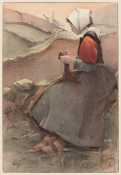 Kwiat wrzosowiska, 1897.