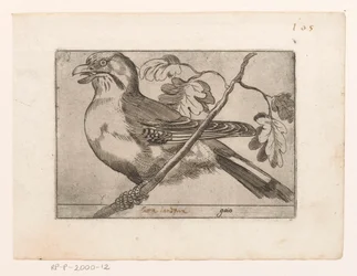 Gaai Gaio (tytuł na obiekcie) Vogels (tytuł serii)