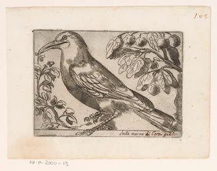 Vogel Przystań Chuta (tytuł na obiekcie) Vogels (tytuł serii)