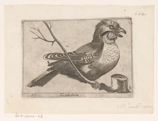 Sójka (Garrulus glandarius) Giandara (tytuł na obiekcie) Ptaki (tytuł serii)