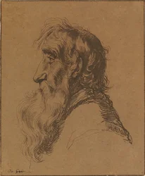 Głowa starca
