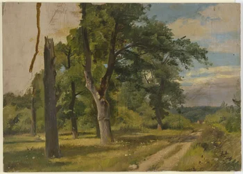 Leśna polana