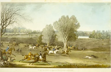 Coursing - Widok Hatfield Park, grawerowany przez Jamesa Pollarda (1797-1867) (kolor lito) (patrz także 266808)