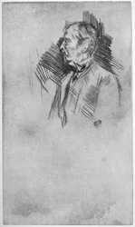 Lord Wolseley, XIX wiek 1904.