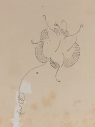 Motyl Whistlera, 1886.