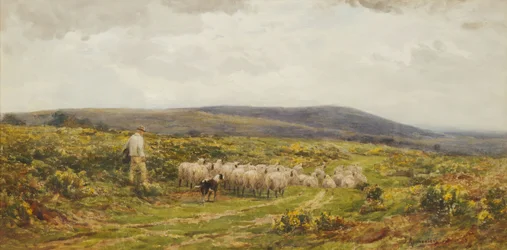 Herefordshire Common, 1860-1900.
