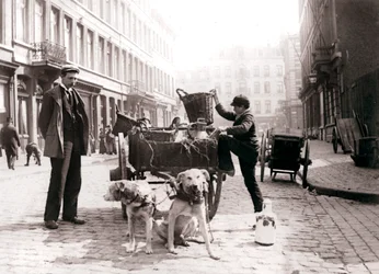 Chłopiec z wózkiem, Antwerpia, 1898.