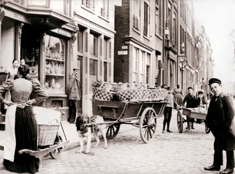 Wózek dla psów, Antwerpia, 1898.