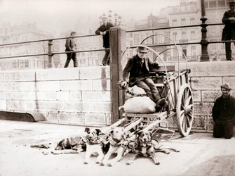 Mężczyzna z wozem dla psów, Antwerpia, 1898.