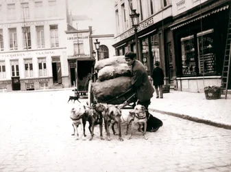 Mężczyzna z psim wózkiem, Antwerpia, 1898