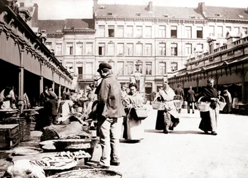 Stragany, Antwerpia, 1898 r.