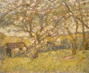Kwiat jabłoni (olej na płótnie)