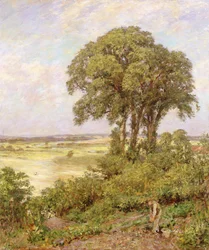 Krajobraz w Sussex
