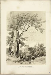 Buk i Dąb (Frontispiece), z Parku i Lasu
